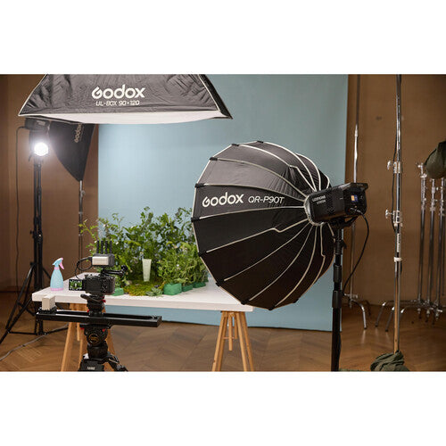 Godox Litemons LE300Bi Bi-Color LED Monolight (Black)