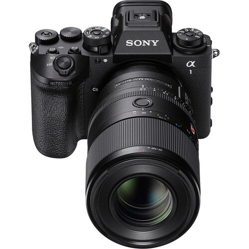 Sony FE 100mm f/2.8 Macro GM Lens (Sony E)