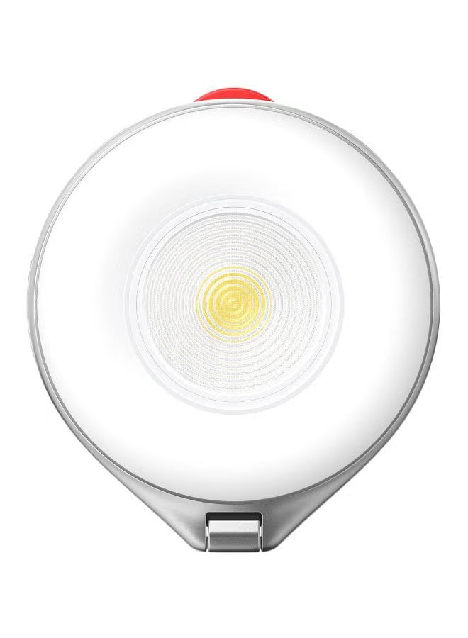TELESIN 2 In 1 Magnetic Flashlight Selfie Light P5-BGD-17SR